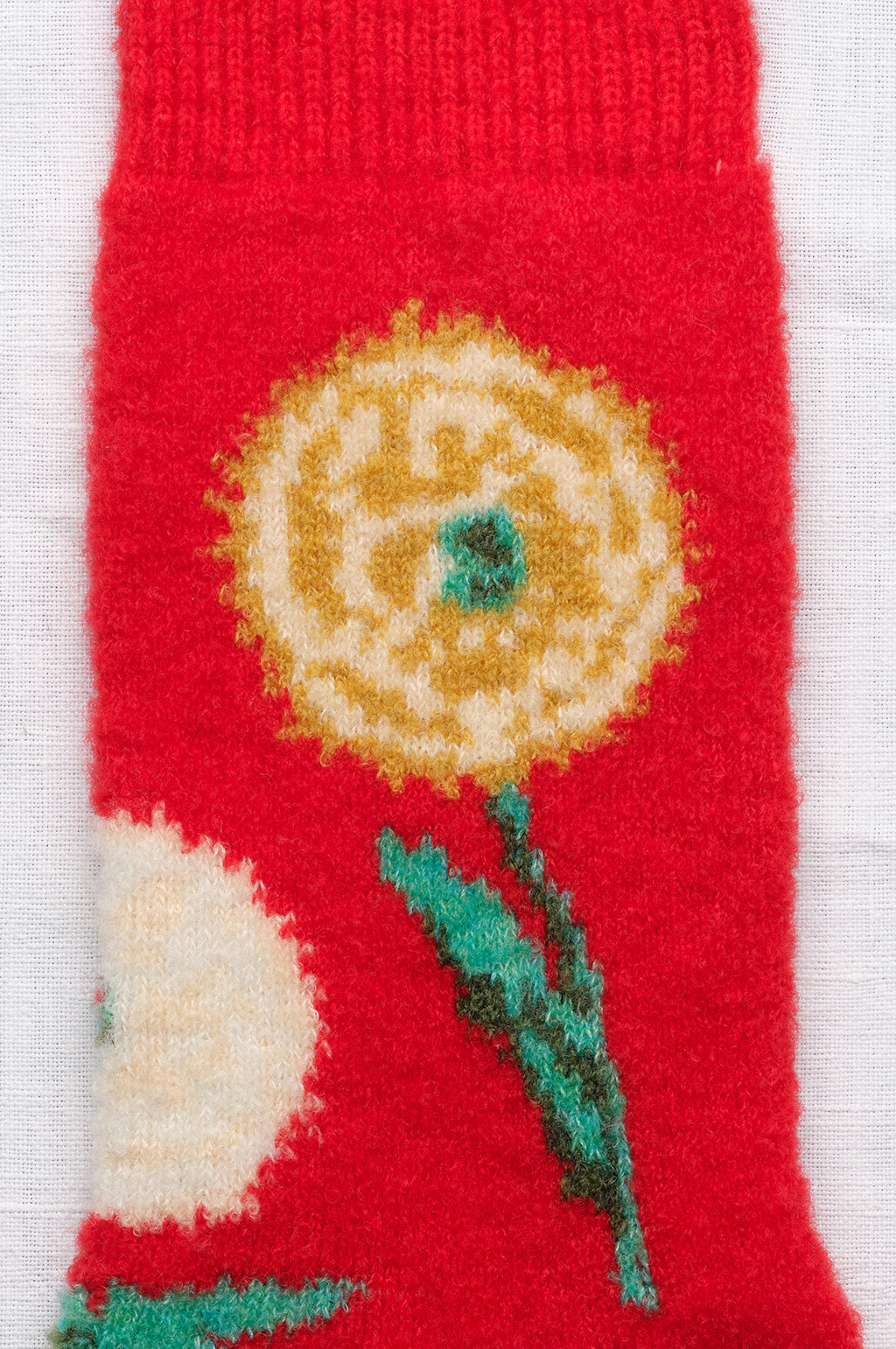 Fleurs Rouge Socks