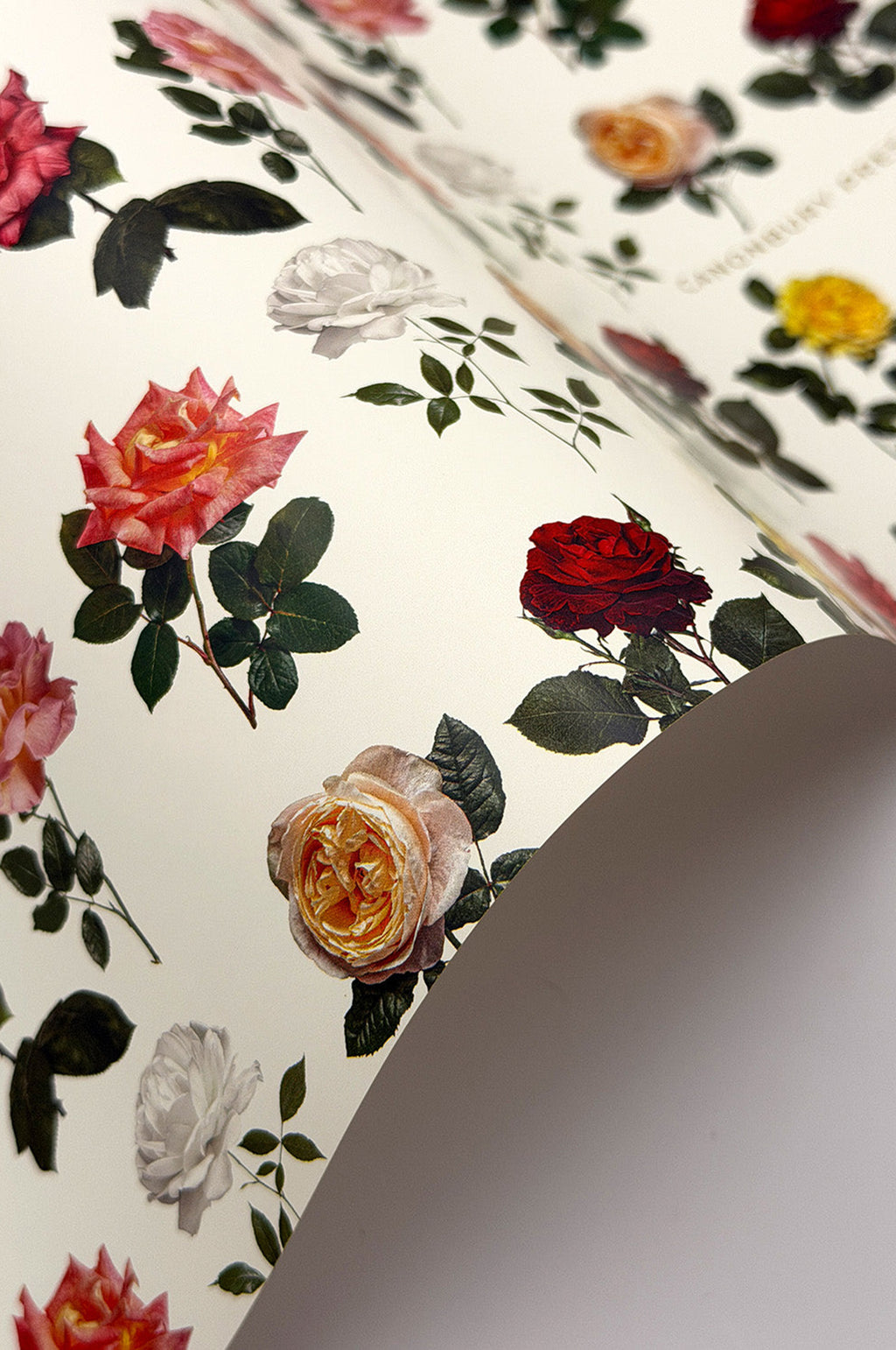 English Garden Roses Wrapping Paper Set of 3 Sheets