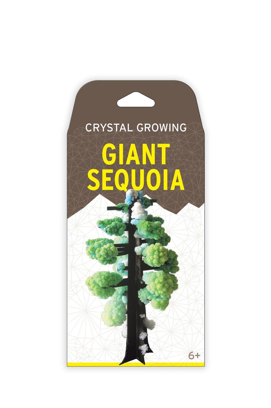 Crystal Growing Giant Sequoia