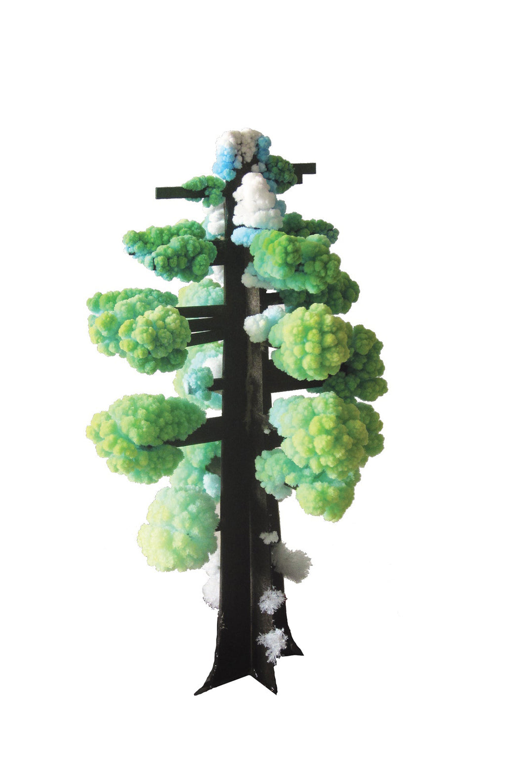 Crystal Growing Giant Sequoia