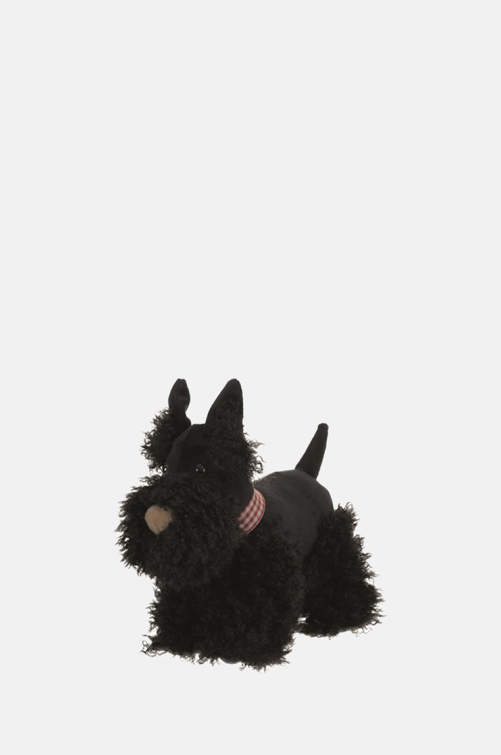 Walter The Dog