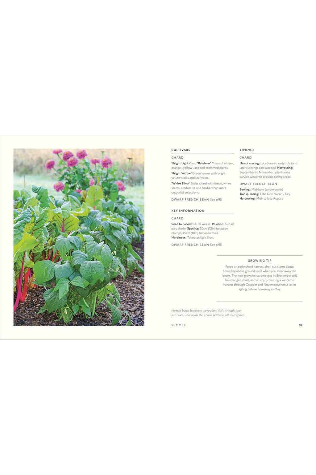Grow Together: 50 Planting Partnerships