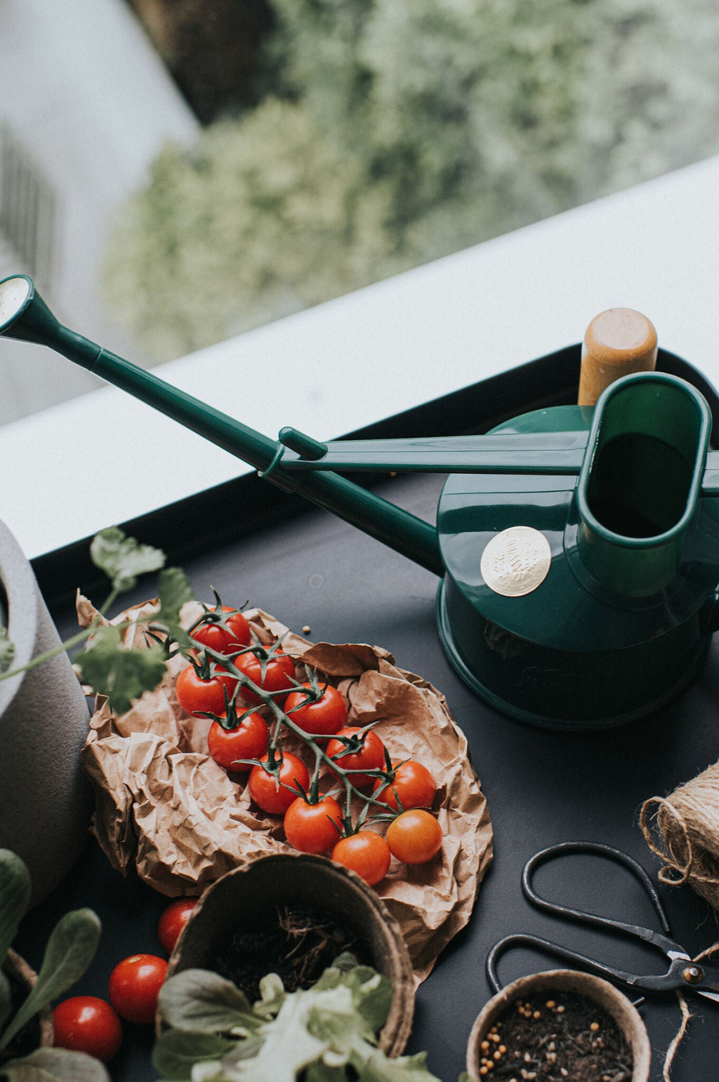 Langley Sprinkler Green