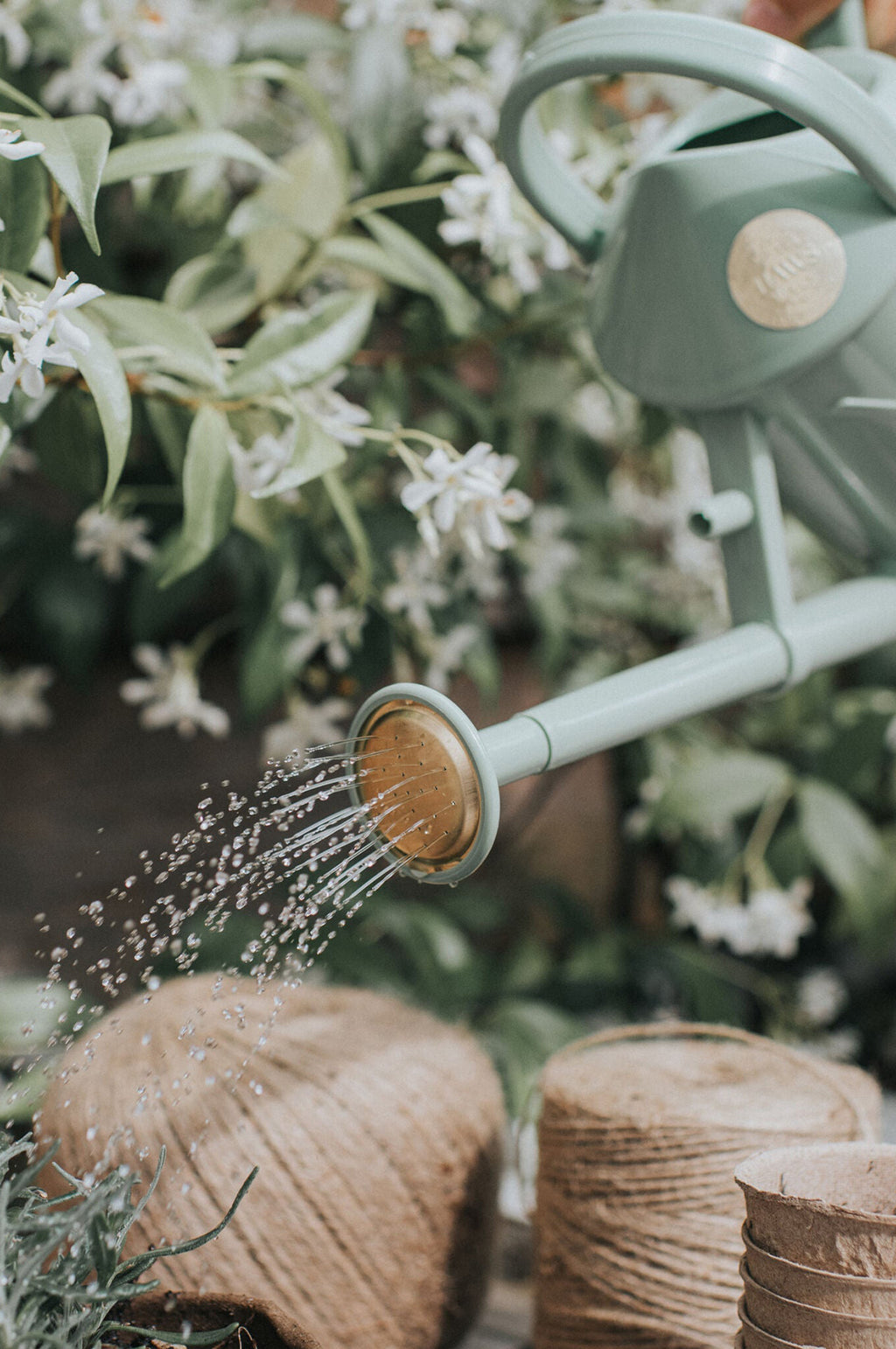 The Bartley Burbler Sage