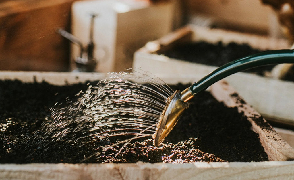 The Rowley Ripple Watering Can Green