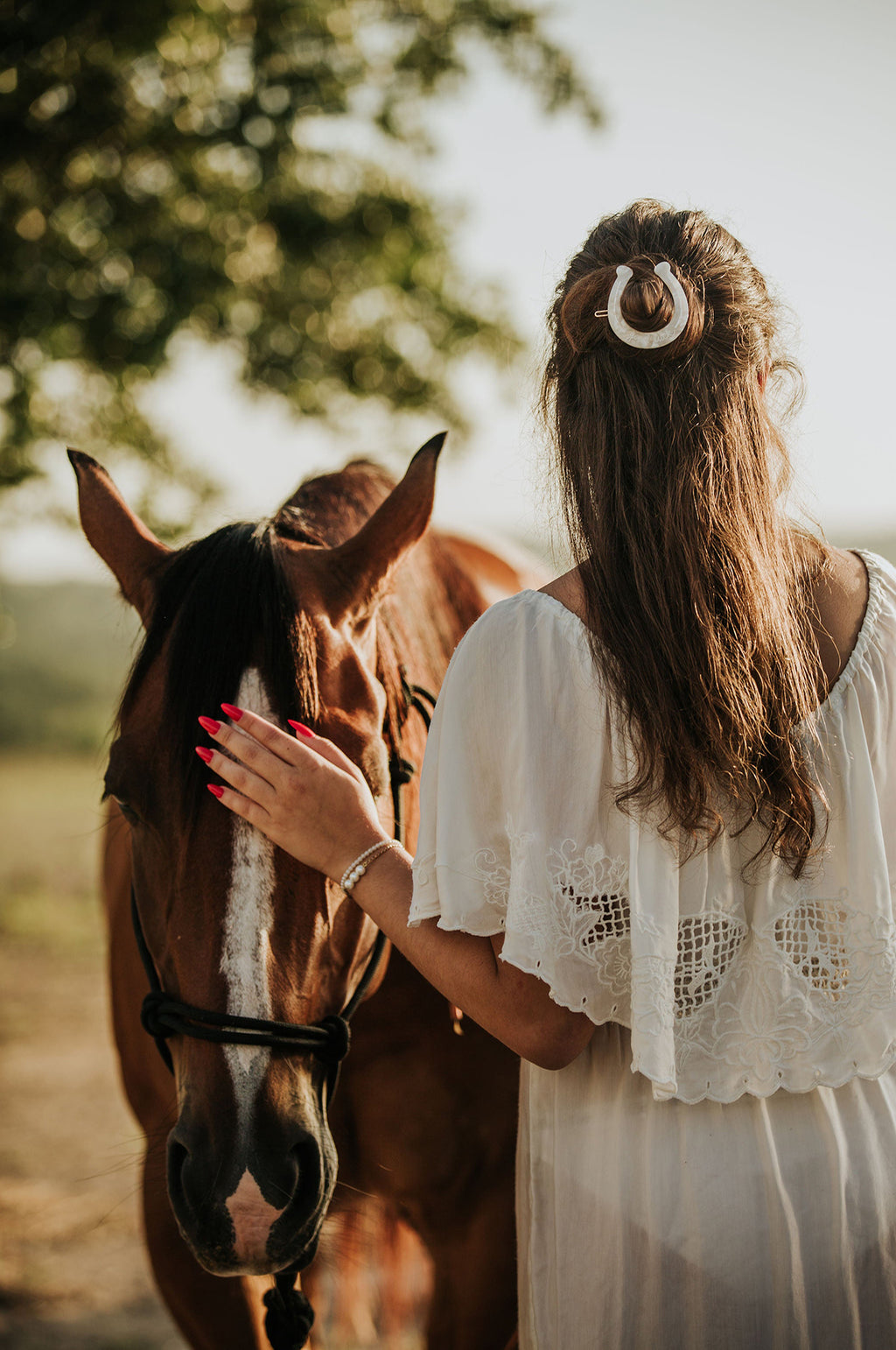 Horseshoe Clip Silver