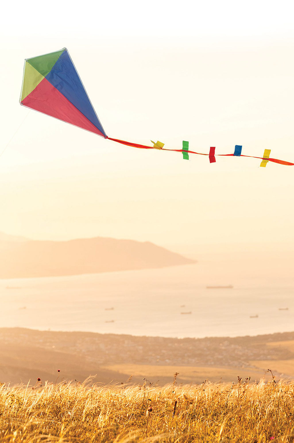 Classic Diamond Kite