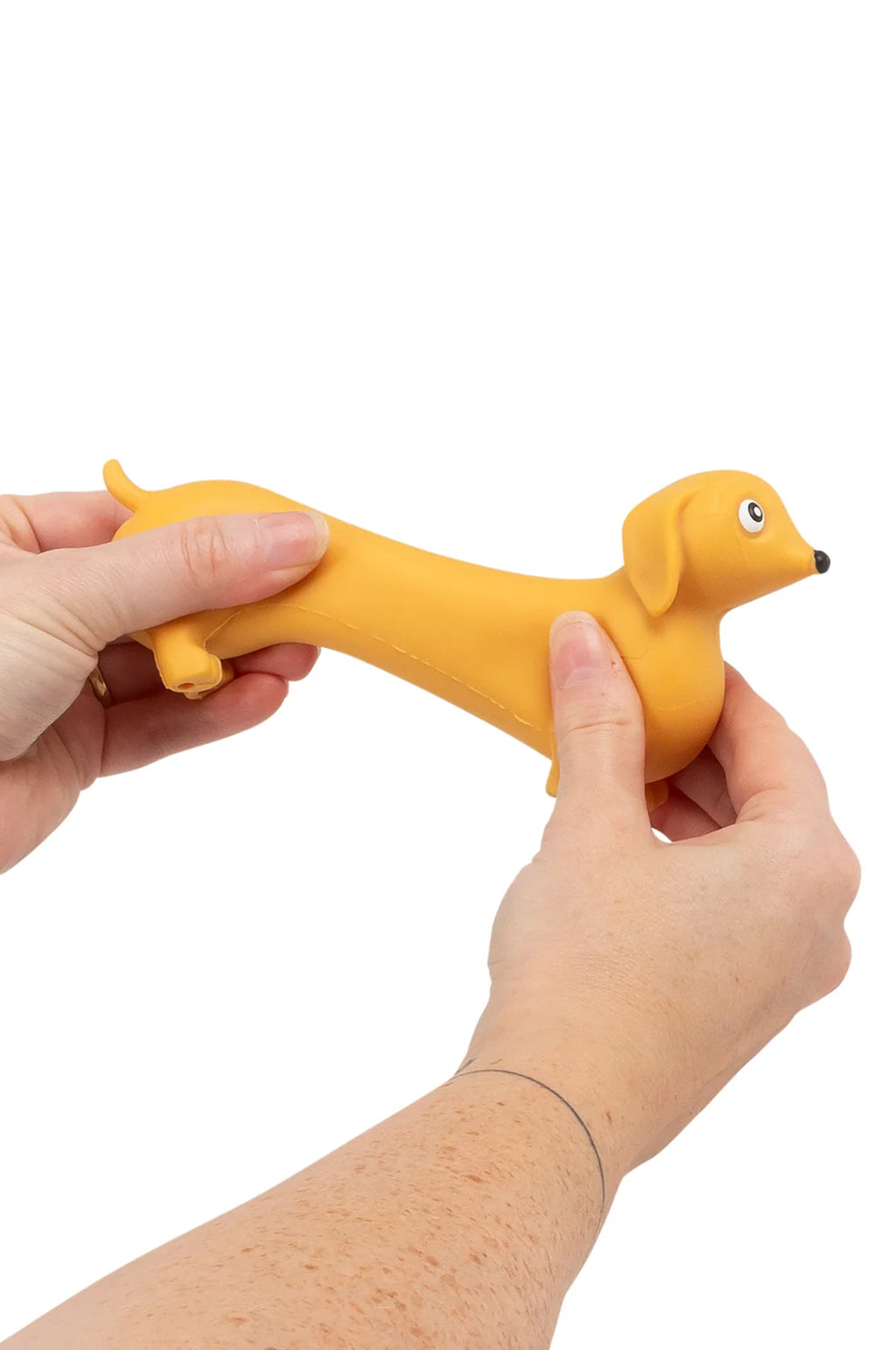 Stretchy Sausage Dog