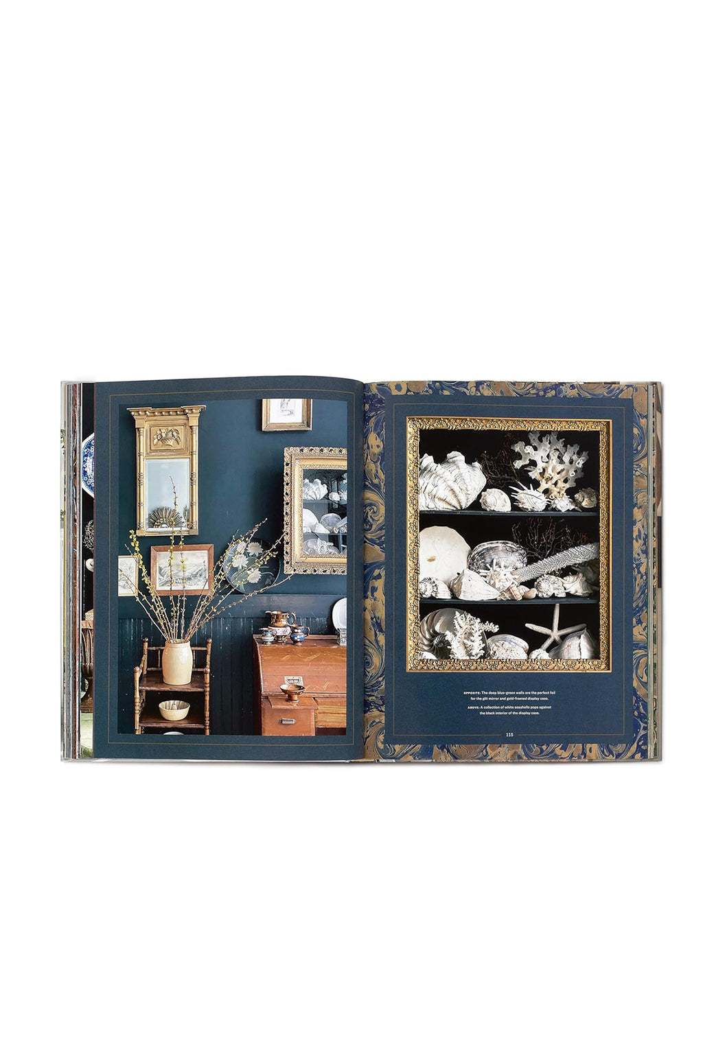 Sean Scherer's Vignettes