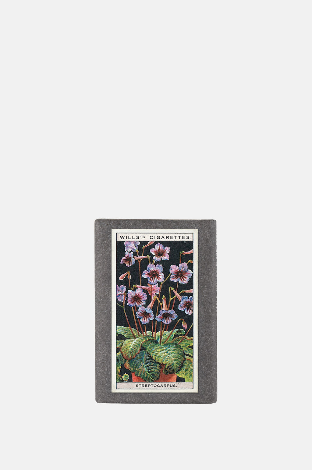 Sting in the Tail Vintage Pot Plants Label Soap Streptocarpus.