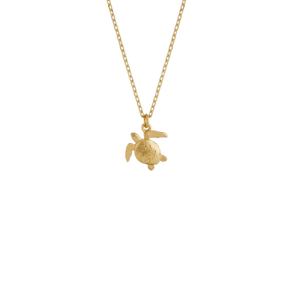 A.M. Teeny Tiny Sea Turtle Necklace 18ct Solid Gold