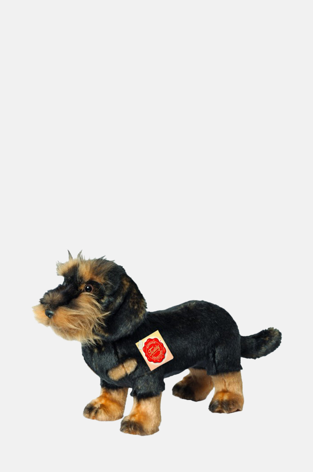 Teddy Hermann Wire Haired Dachshund.