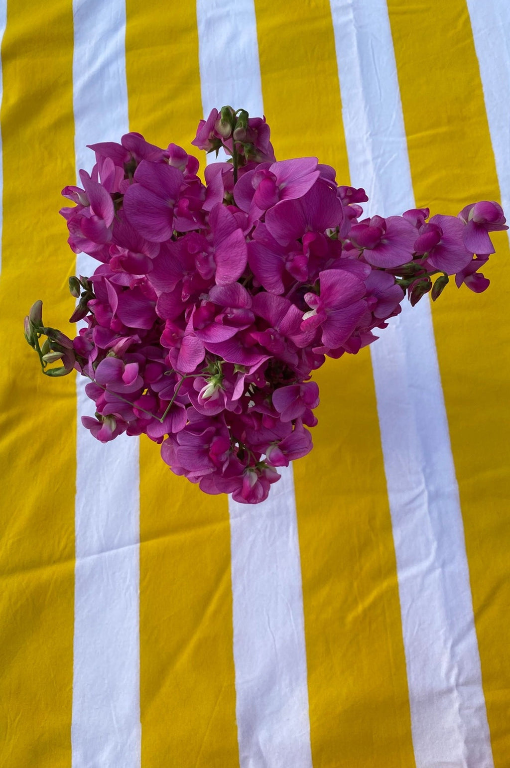 Yellow Stripe Tablecloth
