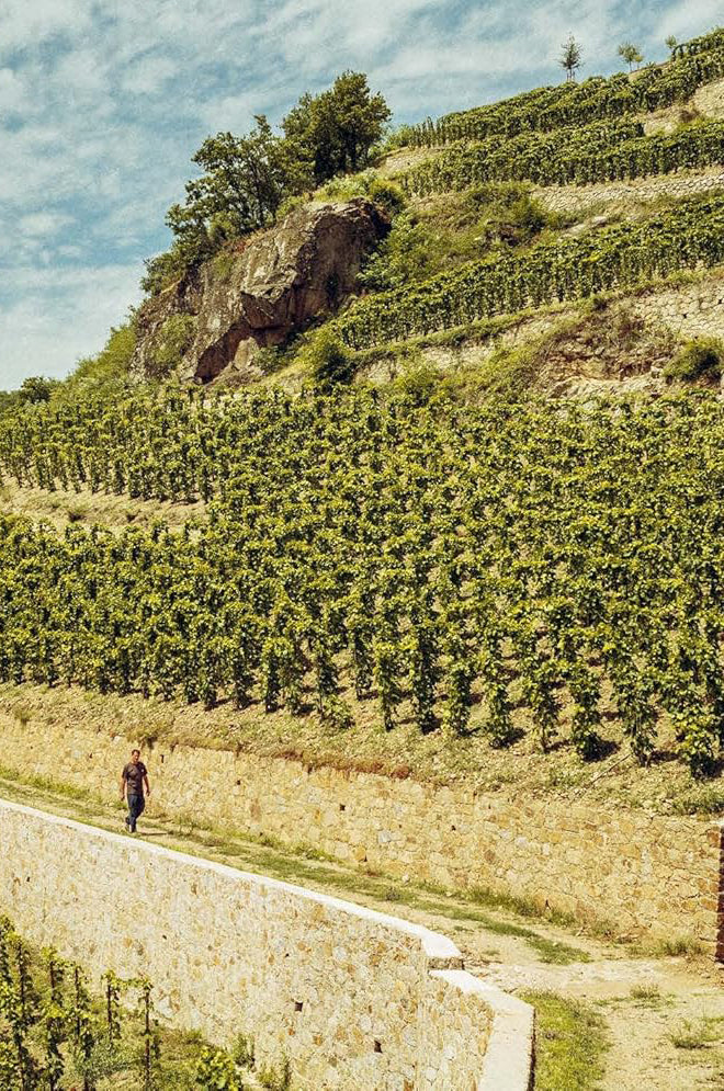 Who's Afraid Of Romanee Conti