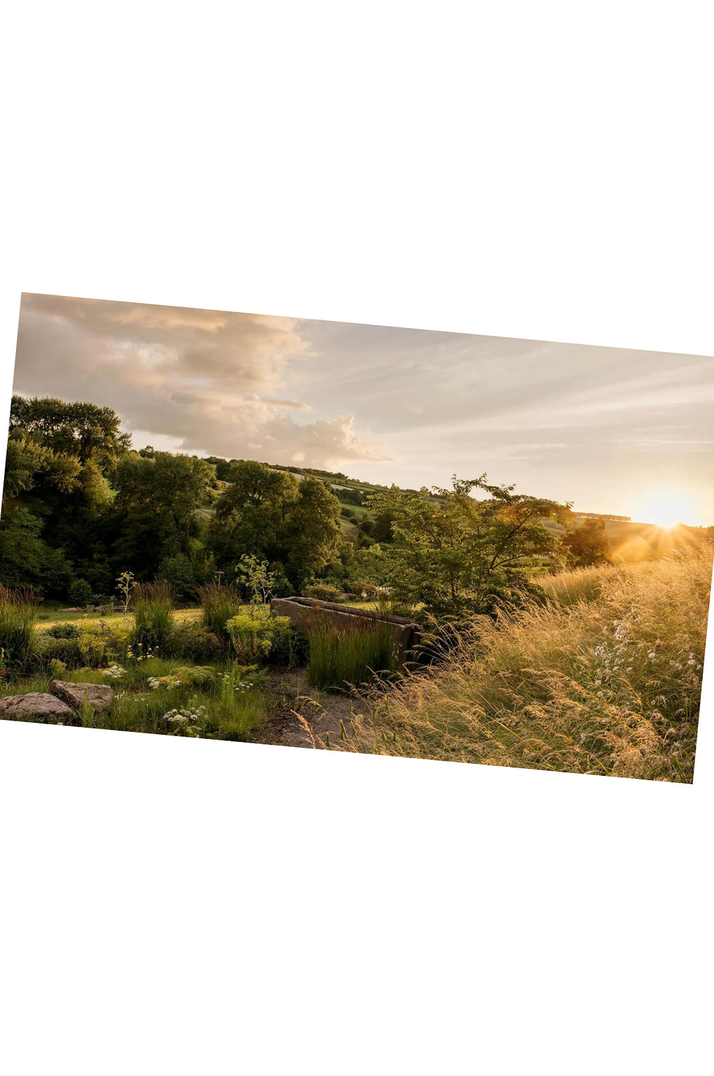 Wonderlands: British Garden Designers At Home