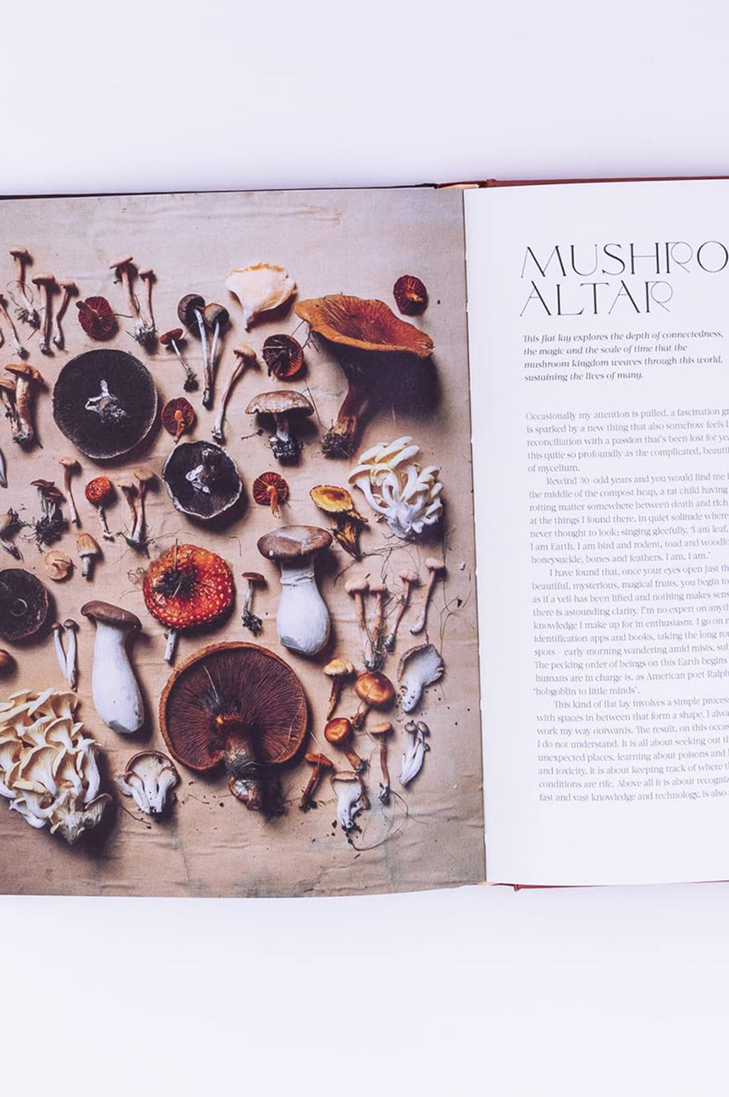 Flower Philosophy: Seasonal Projects