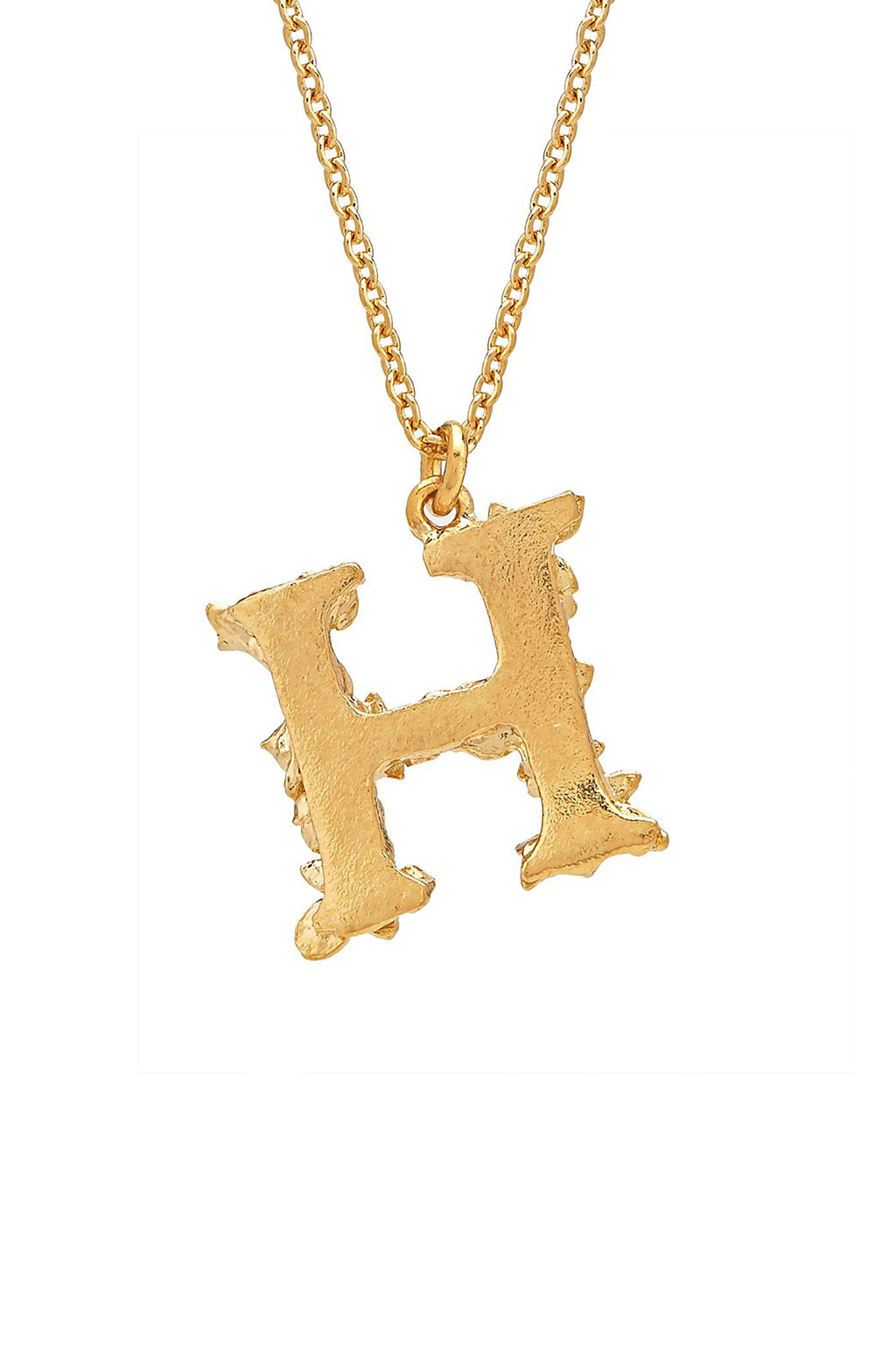 Floral Letter H Necklace Gold Plate