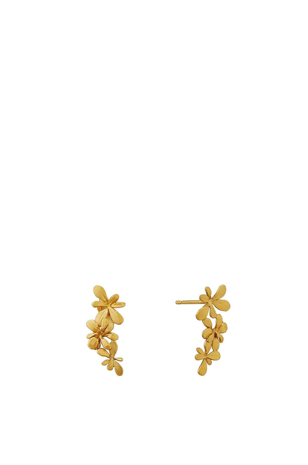 Sprouting Rosette Drop Earrings Gold