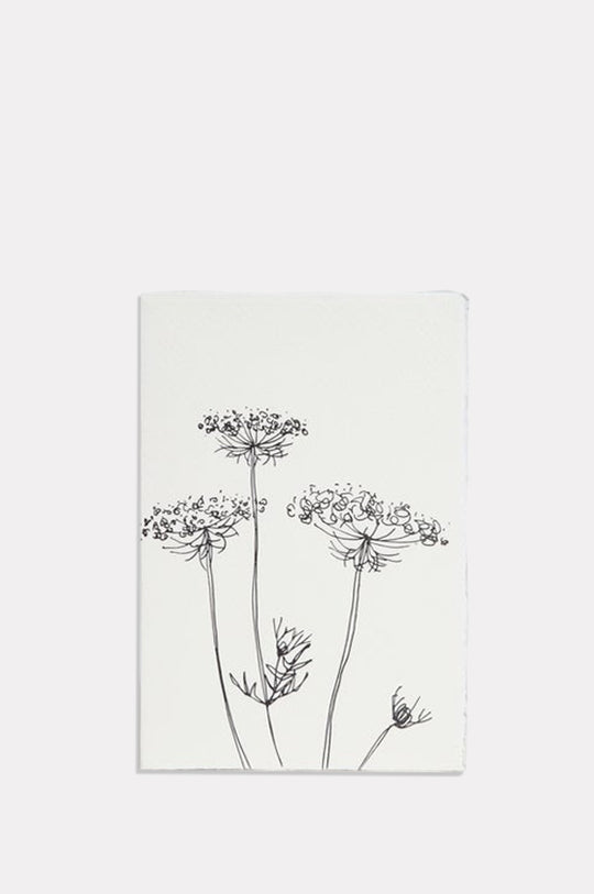 Queen Annes Lace Card