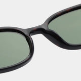 Charlie Sunglasses Demi Tortoise