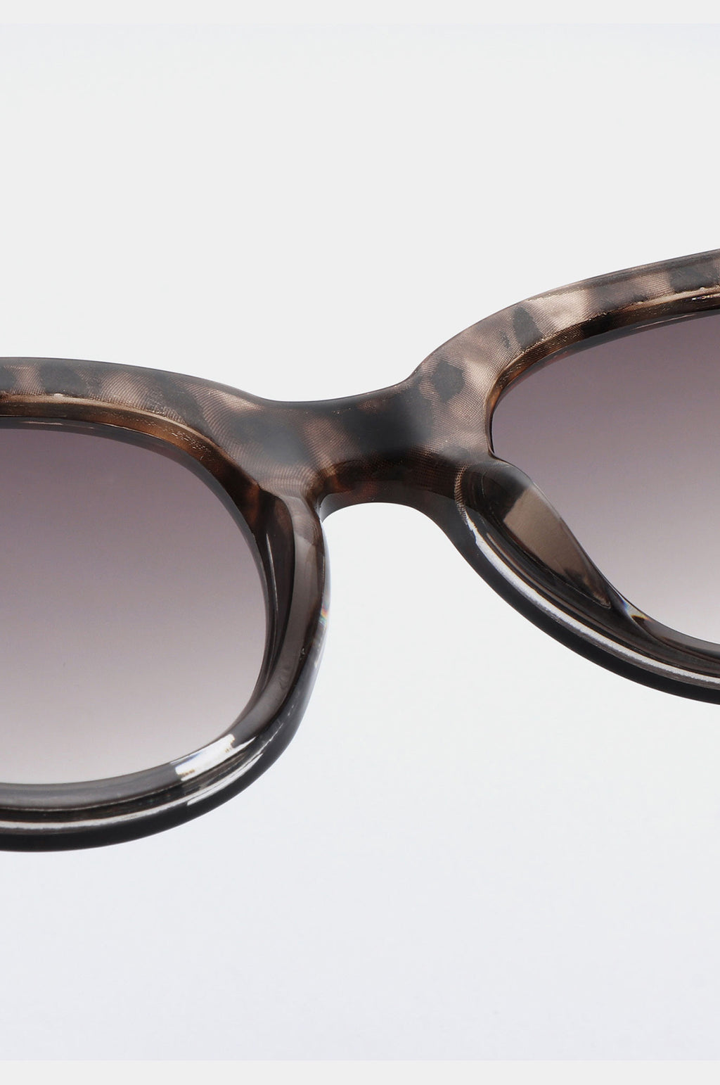 Lilly Sunglasses Coquina/ Gray Transparent