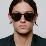Zan Sunglasses Havana
