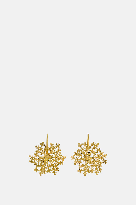 Cow Parsley Bloom Hook Earring Gold