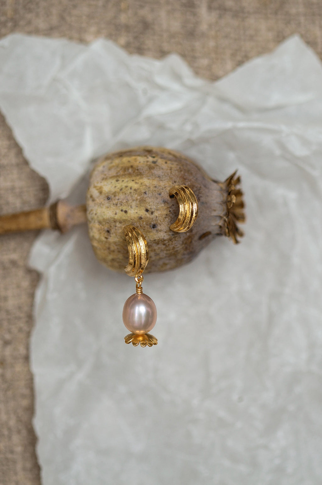 Kissing Seed Huggie Hoop Earrings Gold Plate