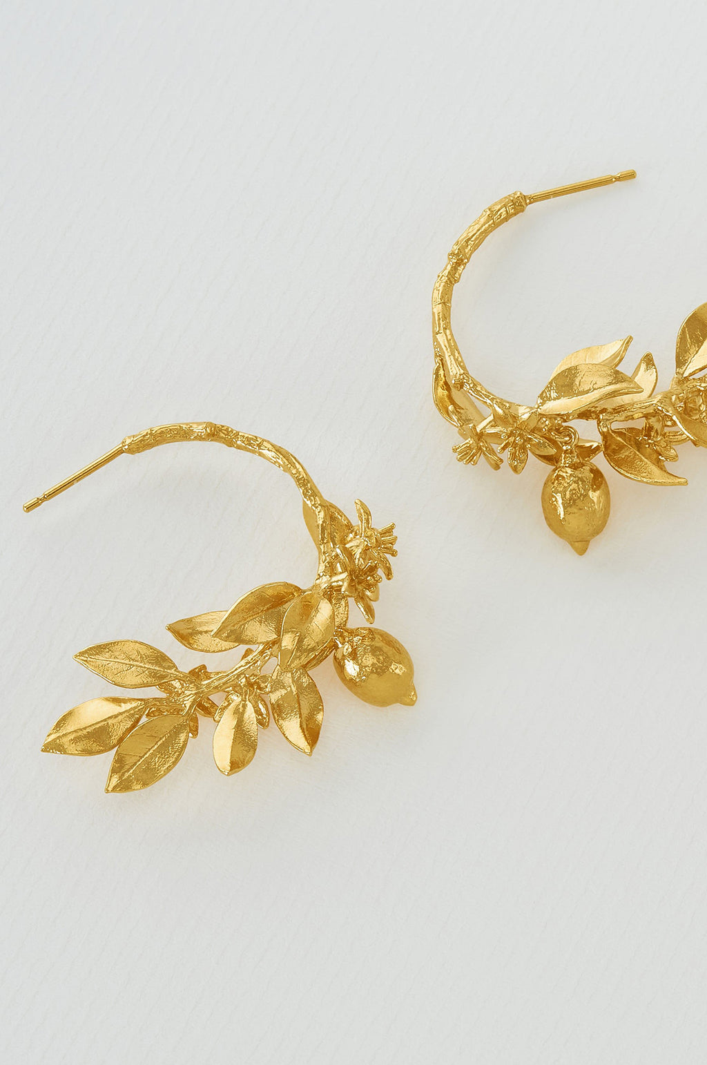 Lemon Blossom Branch Hoop Earrings Gold