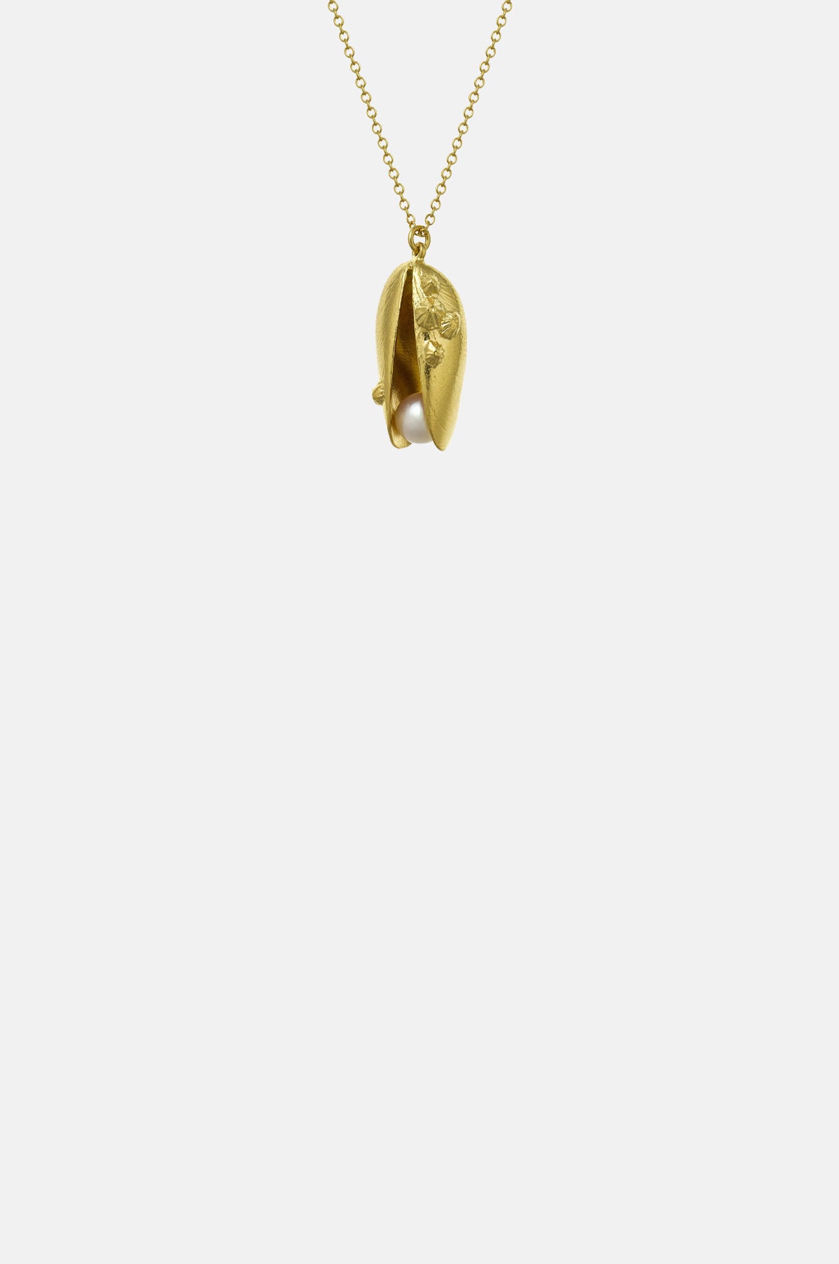 Alex Monroe Mussel and Pearl Necklace Gold.