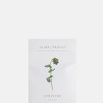 Alma Proust Cerinthe.