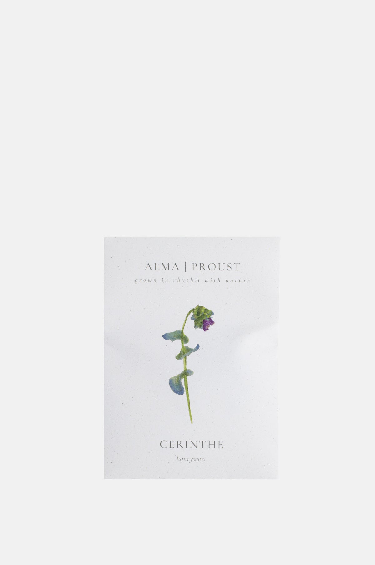 Alma Proust Cerinthe.