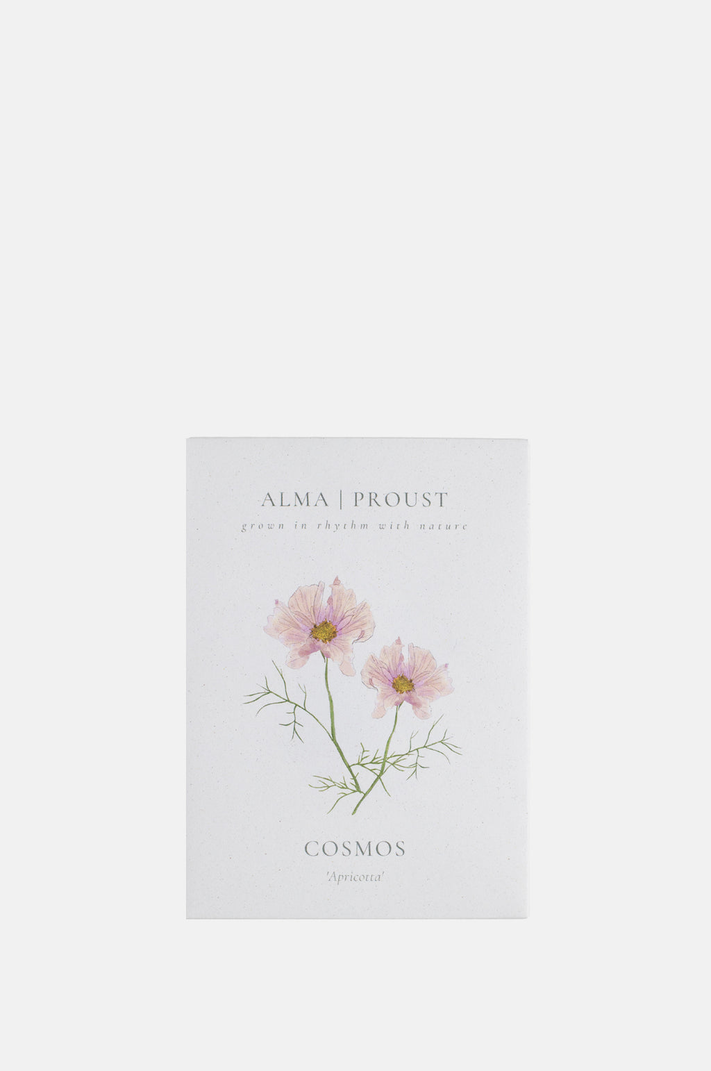 Alma Proust Cosmos Apricotta.