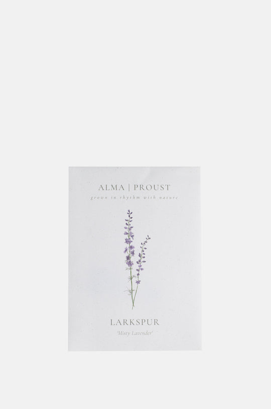 Larkspur 'Misty Lavender'