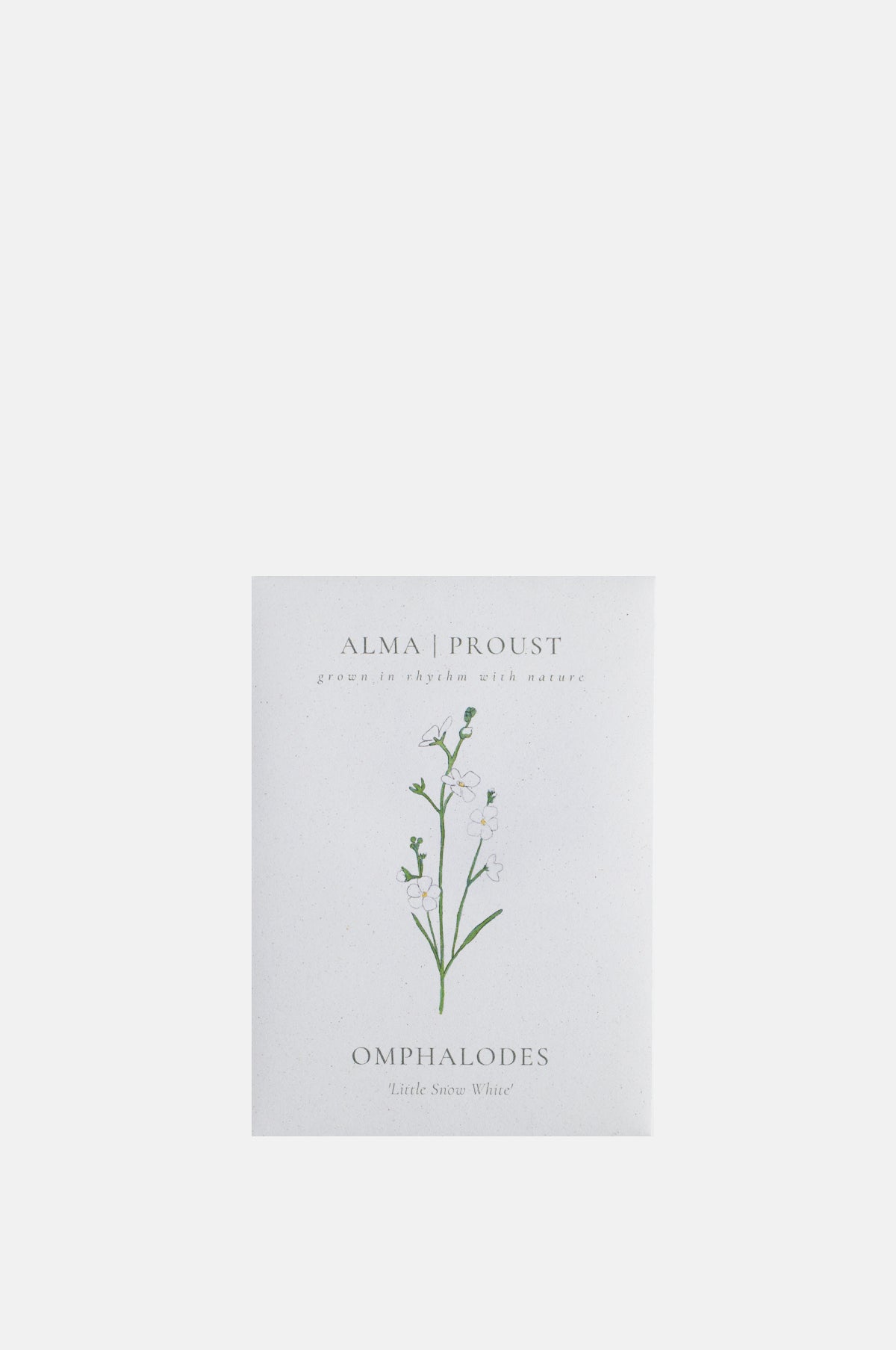 Alma Proust Omphalodes.