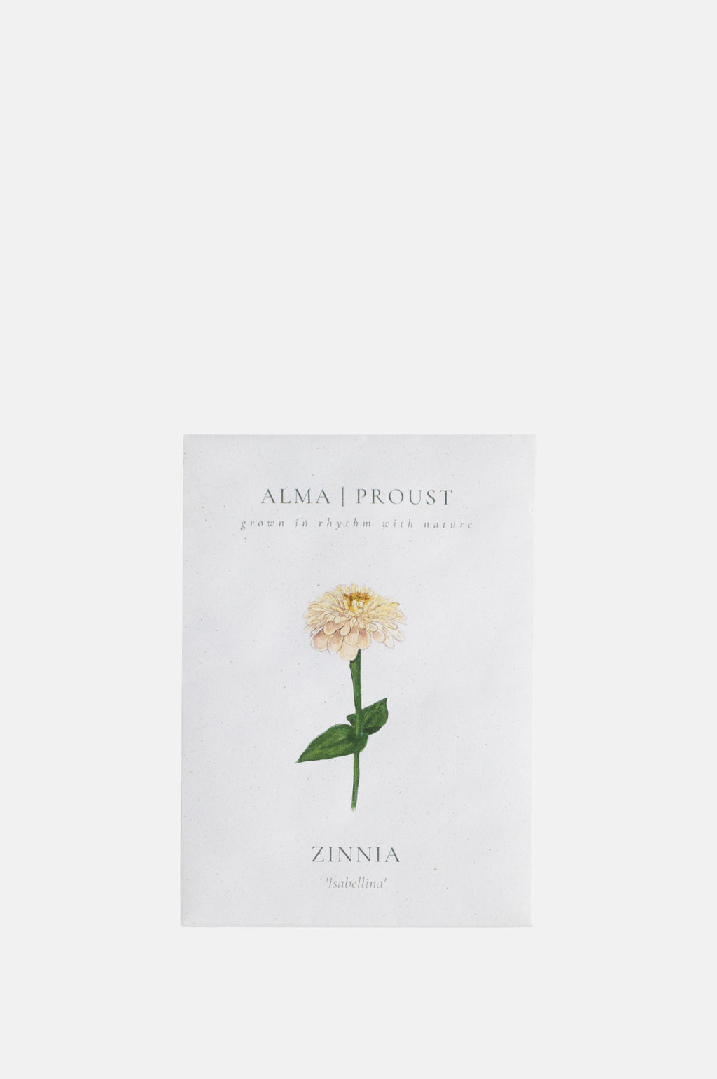 Alma Proust Zinnia Isabellina.