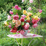 Atmosfloric: Flower Colour In Home And Garden