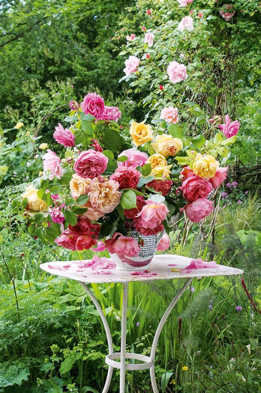 Atmosfloric: Flower Colour In Home And Garden