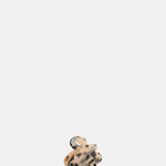 Bachca Tortoise Clip Small.