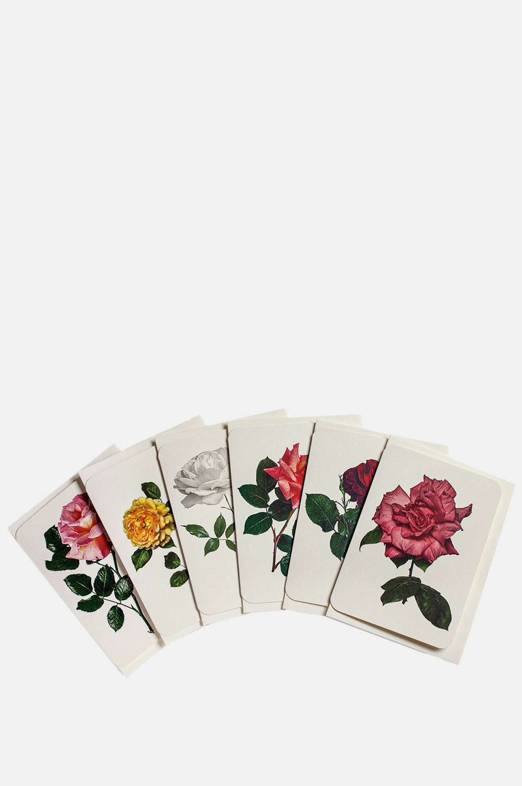 Canonbury Press English Garden Roses Set of 6 Notecards.