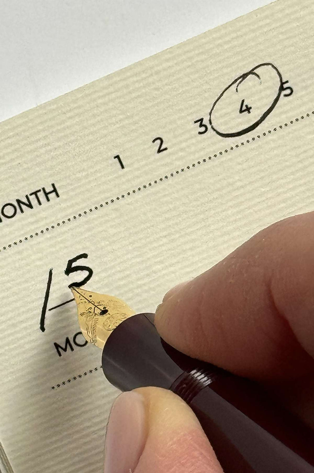 Garden Roses Notebook Set