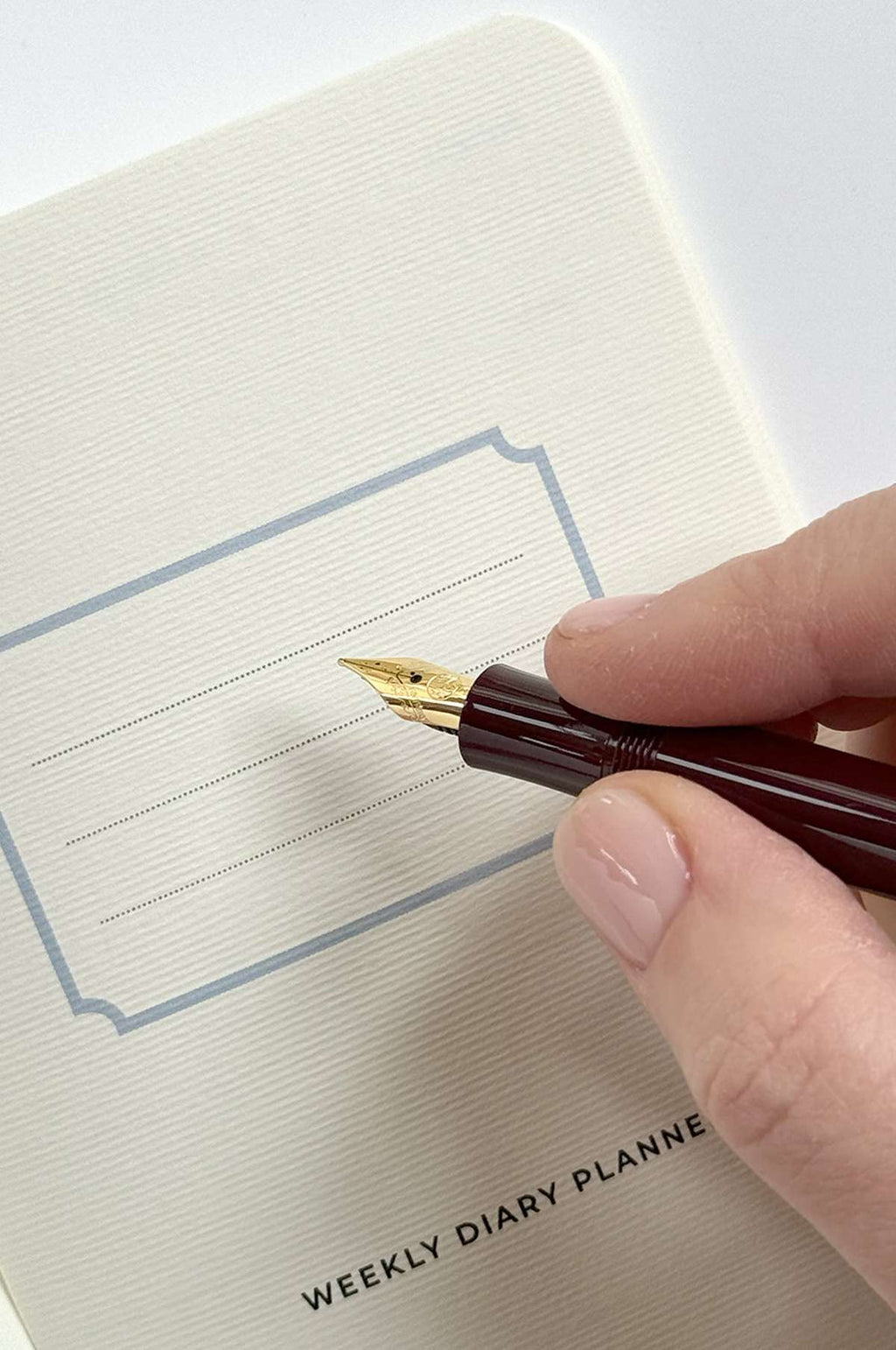 Garden Roses Notebook Set