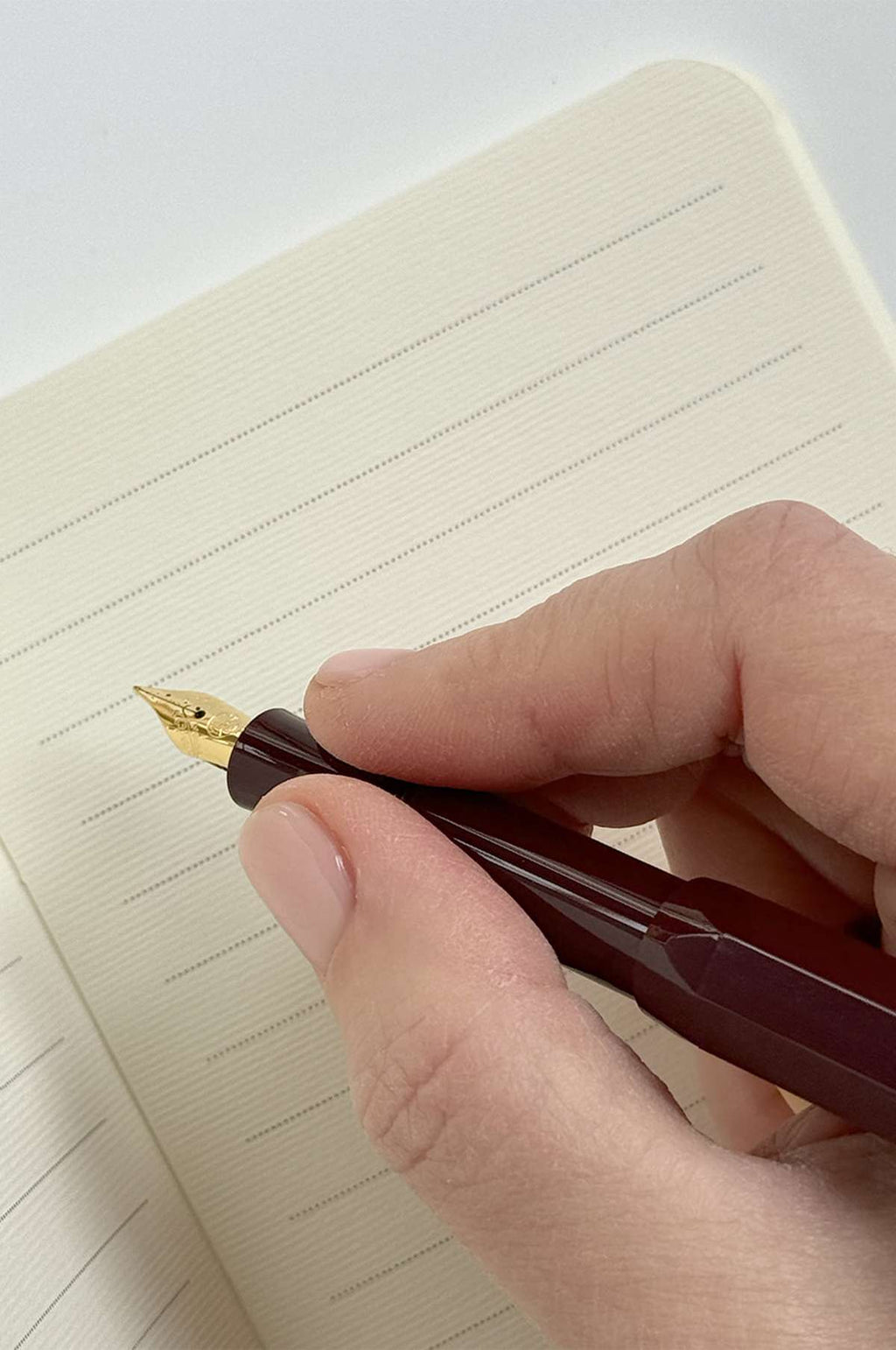 Garden Roses Notebook Set