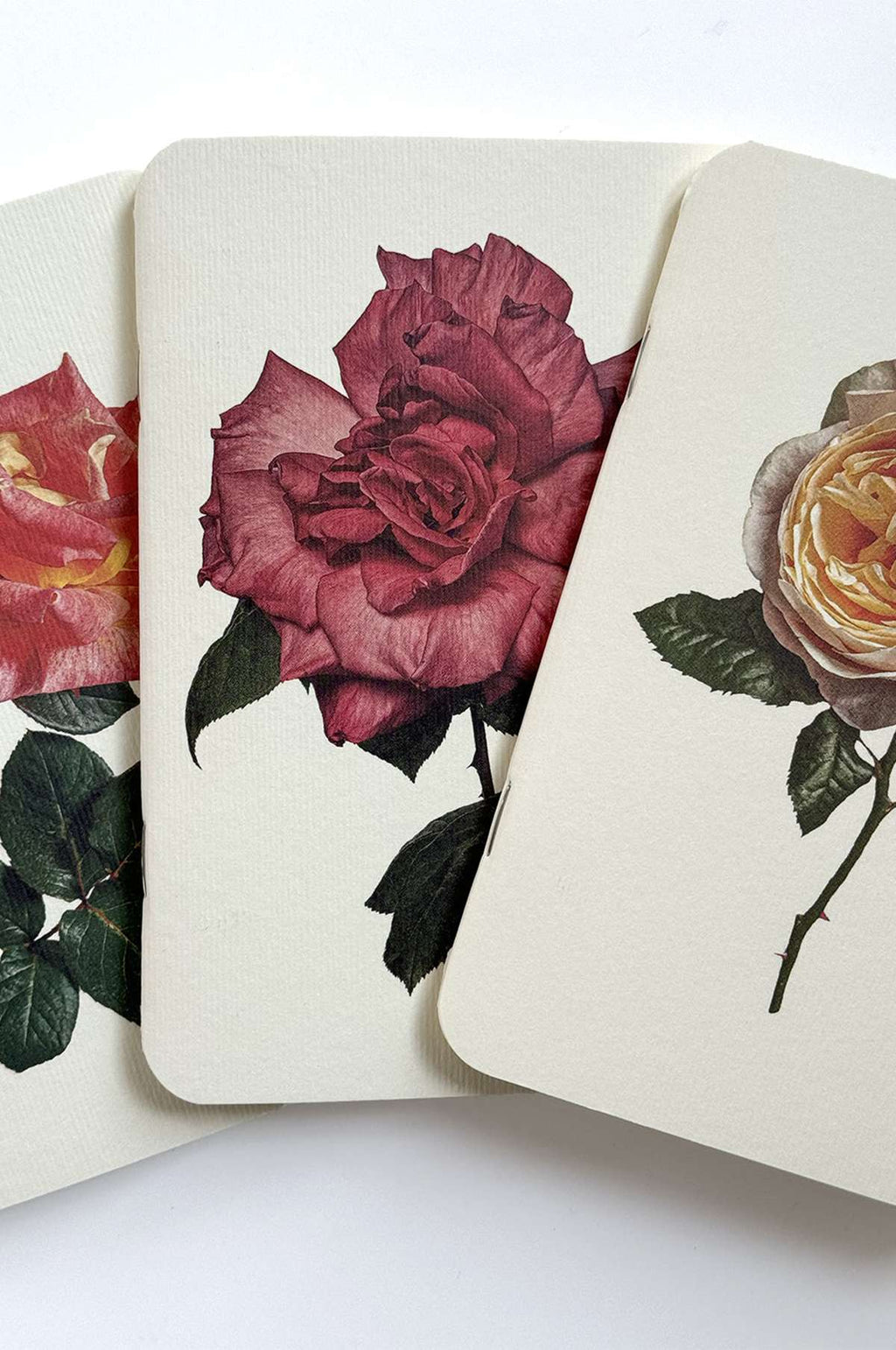 Garden Roses Notebook Set