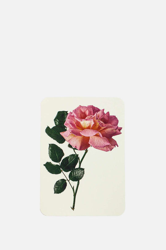 Pink Rose Notecard