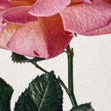 Pink Rose Notecard