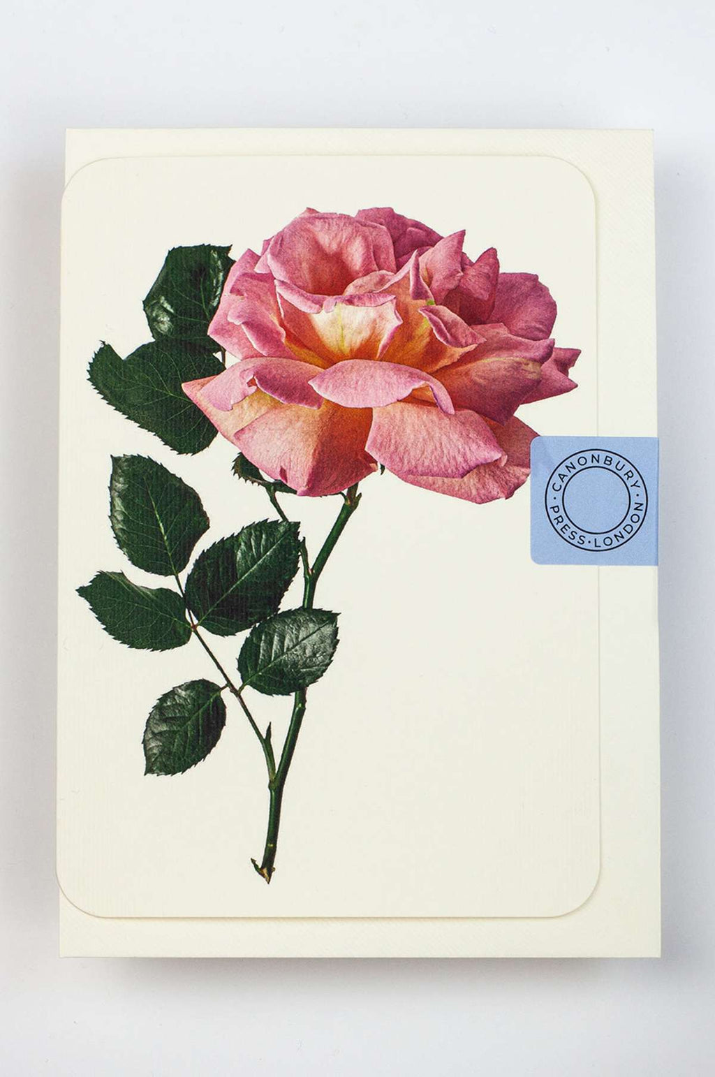 Pink Rose Notecard