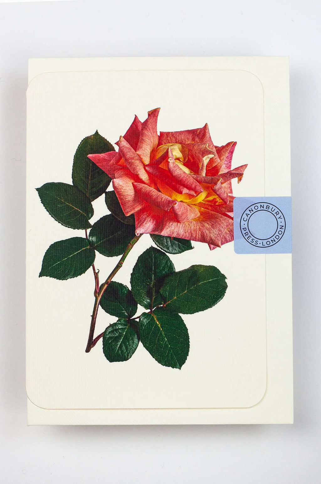 Pink & Yellow Rose Notecard