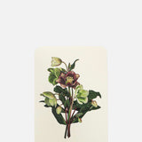 Canonbury Press Posy of Hellebore Notecard.