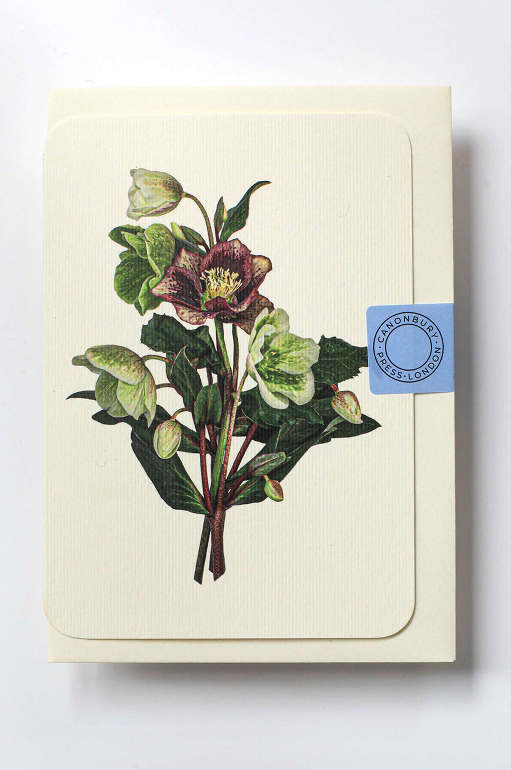 Posy of Hellebore Notecard